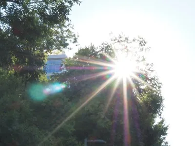 NC Folk Festival photograph 4